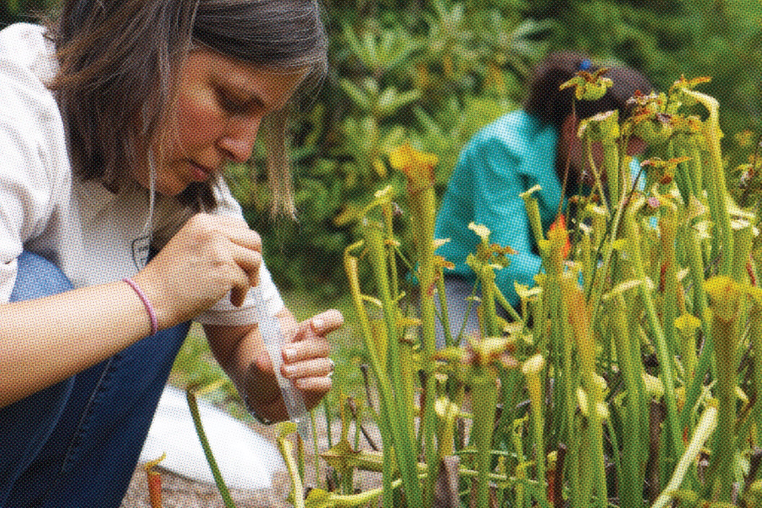 National Geographic Society is providing an exclusive grant opportunity